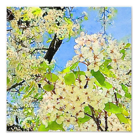 Waterverf bloeiende lente Fotouitbreiding Foto Afdruk (Voorkant)