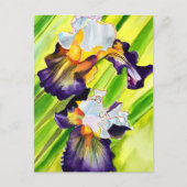 Waterverf bloem iris bloem briefkaart (Voorkant)