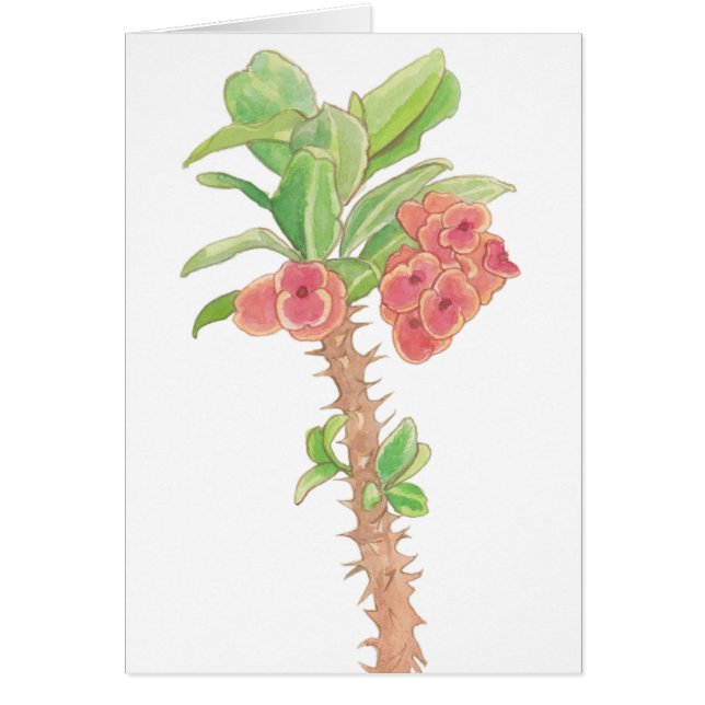 Waterverf bloemen Kroon Plant (Voorkant)