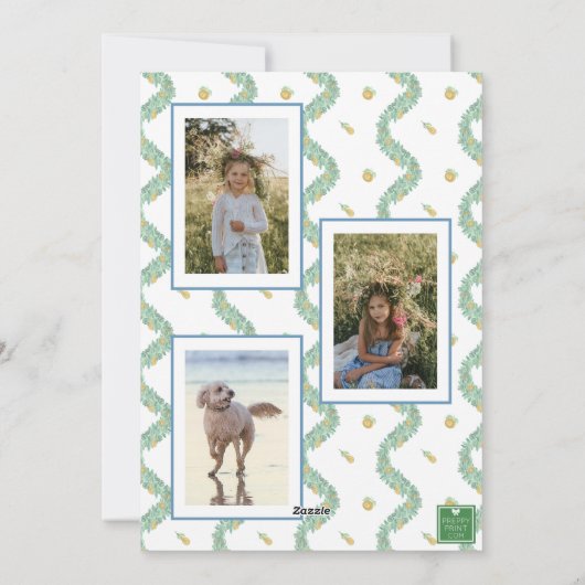 Waterverf Blue Bow Fruit Garland Kerstfoto Feestdagenkaart (Achterkant)