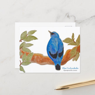 Waterverf Blue Cuckooshrike African Bird Briefkaart