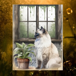 Waterverf Blue Eyed Cat op een regenachtige dag Feestdagenkaart