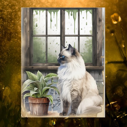 Waterverf Blue Eyed Cat op een regenachtige dag Feestdagenkaart