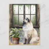 Waterverf Blue Eyed Cat op een regenachtige dag Feestdagenkaart (Voorkant)