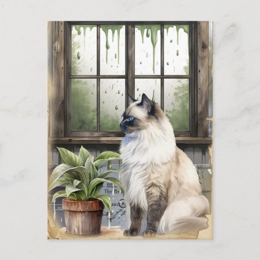 Waterverf Blue Eyed Cat op een regenachtige dag Feestdagenkaart (Voorkant)