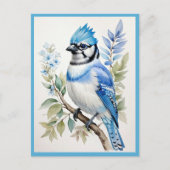 Waterverf Blue Jay Bird op boomtak Briefkaart (Voorkant)
