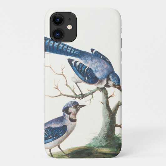 Waterverf Blue Jay Birds Art Case-Mate iPhone Case (Achterkant)