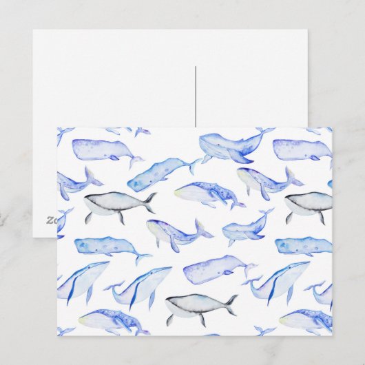 Waterverf Blue Whale Patroon Briefkaart (Voorkant / Achterkant)