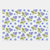 Waterverf Blueberry Fruit met bladeren Lichtblauw Inpakpapier Vel (Voorkant 2)