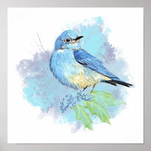 Waterverf Bluebird Garden Bird Art Poster (Voorkant)