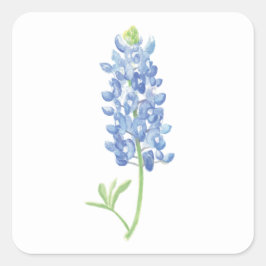 Waterverf Bluebonnet Flower Vierkante Sticker