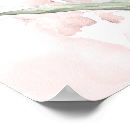 Waterverf Blush Roze Wilde Roos Poster (Hoek)