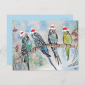 Waterverf boedgie Painingvogel kerst Briefkaart (Voorkant / Achterkant)