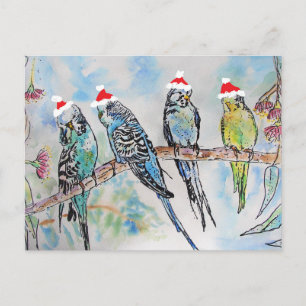 Waterverf boedgie Painingvogel kerst Briefkaart