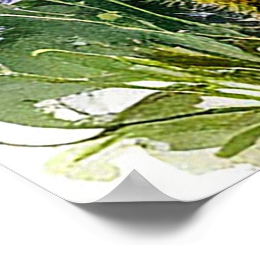 Waterverf Boeket van Wildflowers in vaas Poster (Hoek)