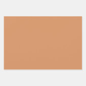 Waterverf Boerderijdieren Ganzen inpakpapier blad (Voorkant 2)