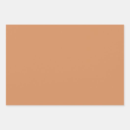 Waterverf Boerderijdieren Ganzen inpakpapier blad (Voorkant 2)