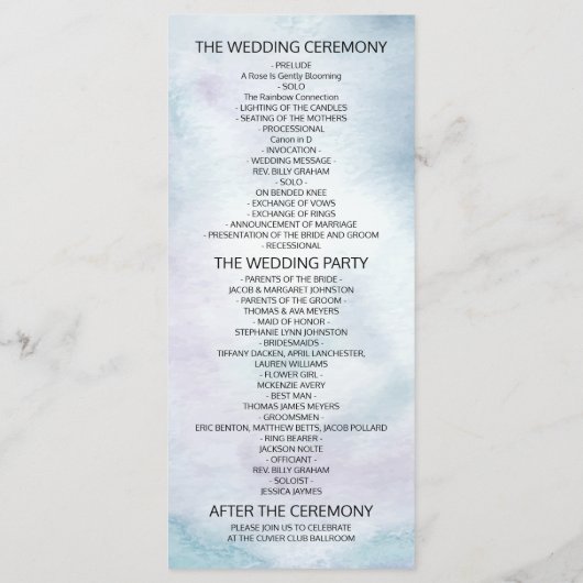 Waterverf Bohemian Floral Feather Programmakaart (Achterkant)