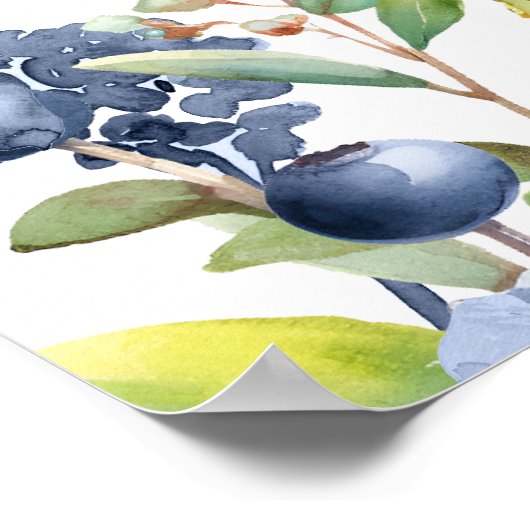 Waterverf bosbessen bloemenzitgrafiek Poster (Hoek)