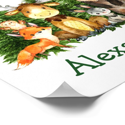 Waterverf Bossen Poster (Hoek)