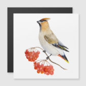 Waterverf bosvogel (Voorkant / Achterkant)