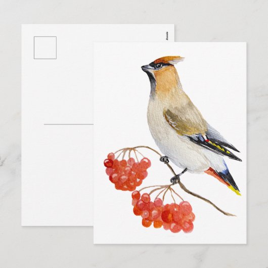 Waterverf bosvogel feestdagenkaart (Voorkant / Achterkant)