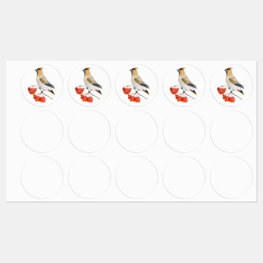 Waterverf bosvogel labels (Vel)