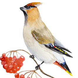 Waterverf bosvogel latte mok