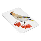 Waterverf bosvogel magneet (Rechterzijde)