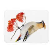 Waterverf bosvogel magneet (Horizontaal)