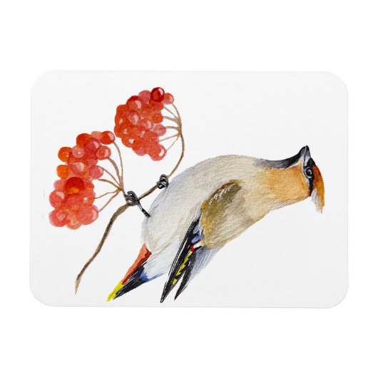 Waterverf bosvogel magneet (Horizontaal)