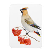 Waterverf bosvogel magneet (Verticaal)