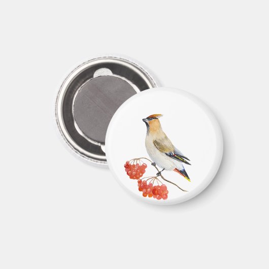 Waterverf bosvogel magneet (Voorkant / Achterkant)