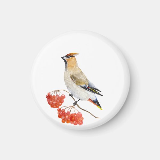 Waterverf bosvogel magneet (Voorkant)