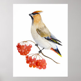 Waterverf bosvogel poster