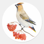 Waterverf bosvogel ronde sticker (Voorkant)
