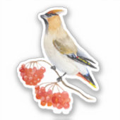 Waterverf bosvogel sticker (Voorkant)