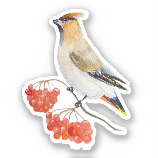 Waterverf bosvogel sticker (Voorkant)