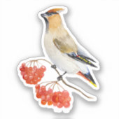 Waterverf bosvogel sticker (Voorkant)