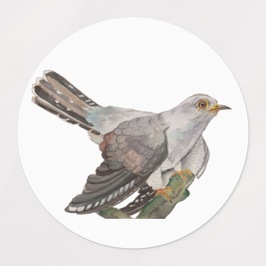 Waterverf bosvogels labels (Design 1)