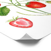 Waterverf Botanisch Poster aardbei (Hoek)