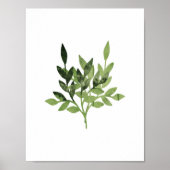 Waterverf Botanische afdruk Poster (Voorkant)