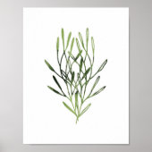 Waterverf botanische afdrukstand poster (Voorkant)