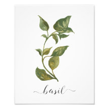 Waterverf Botanische Herb Print Basil