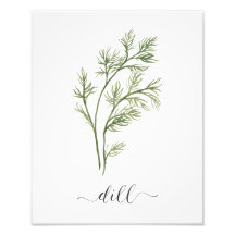 Waterverf Botanische Herb Print Dill