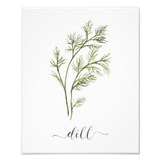Waterverf Botanische Herb Print Dill Foto Afdruk