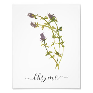 Waterverf Botanische Herb Print Thyme Foto Afdruk