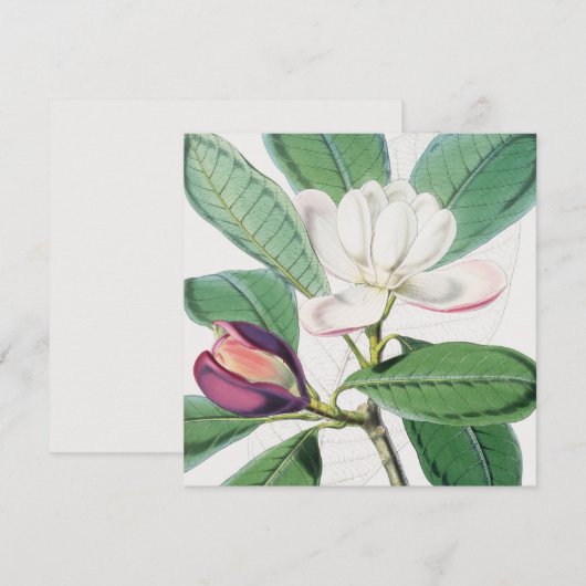 Waterverf Botanische witte Magnolia & groene blade Feestdagenkaart (Voorkant / Achterkant)