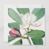Waterverf Botanische witte Magnolia & groene blade Feestdagenkaart (Voorkant)