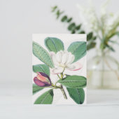 Waterverf Botanische witte Magnolia & groene blade Feestdagenkaart (Staand voorkant)